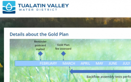 Gold Plan Details page