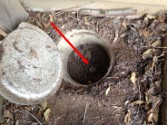 Water Shutoff Example - Outside of house clay ring pipe with valve inside of it